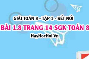 Bài 1.8 SGK Toán 8 tập 1 Kết nối tri thức